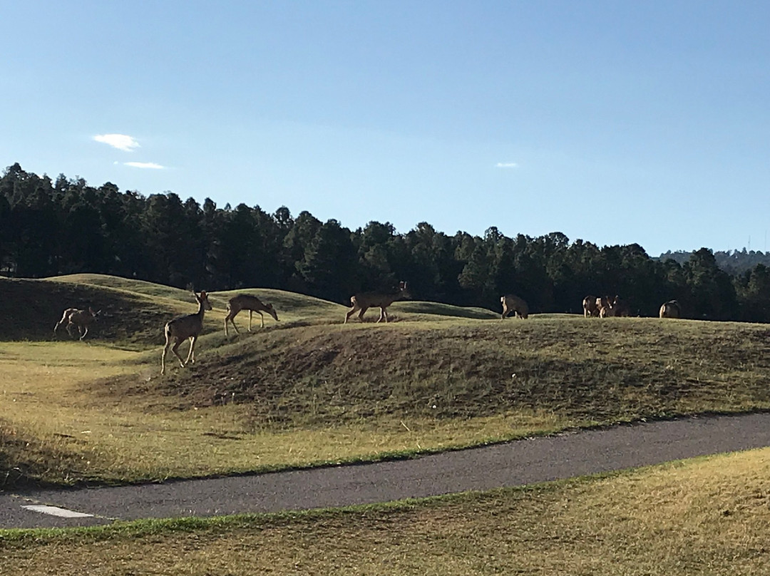 MCM Elegante Lodge & Resort主图