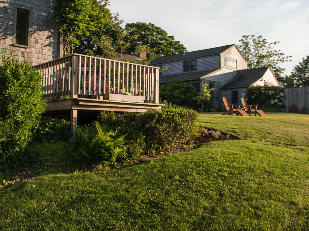 The Ruddy Turnstone主图