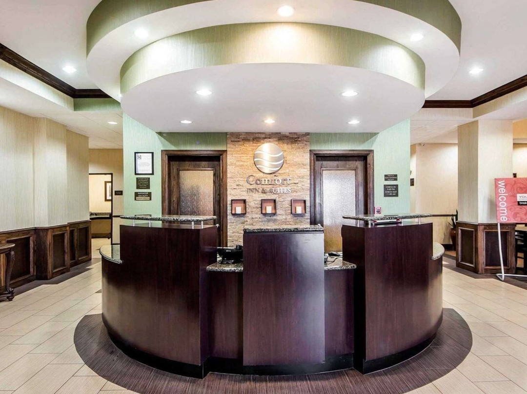 Comfort Inn & Suites主图