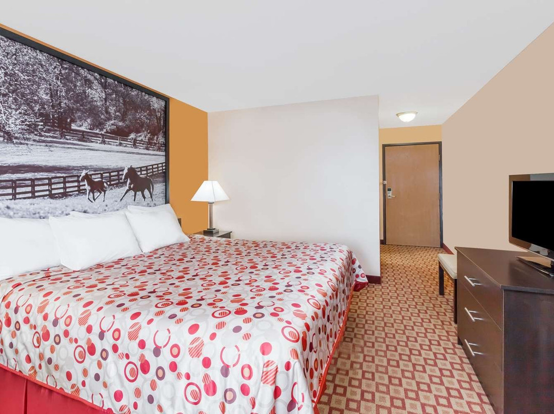 Super 8 South By Wyndham主图