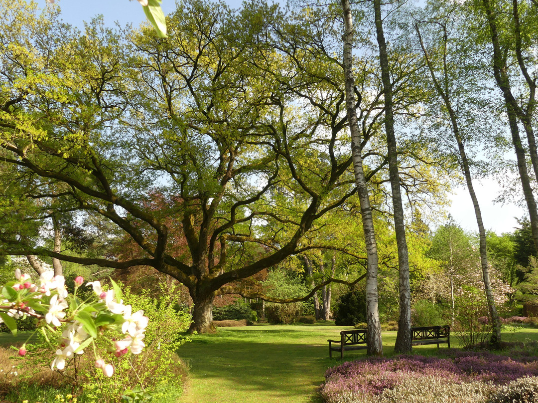 Quiers-sur-Bezonde旅游攻略图片