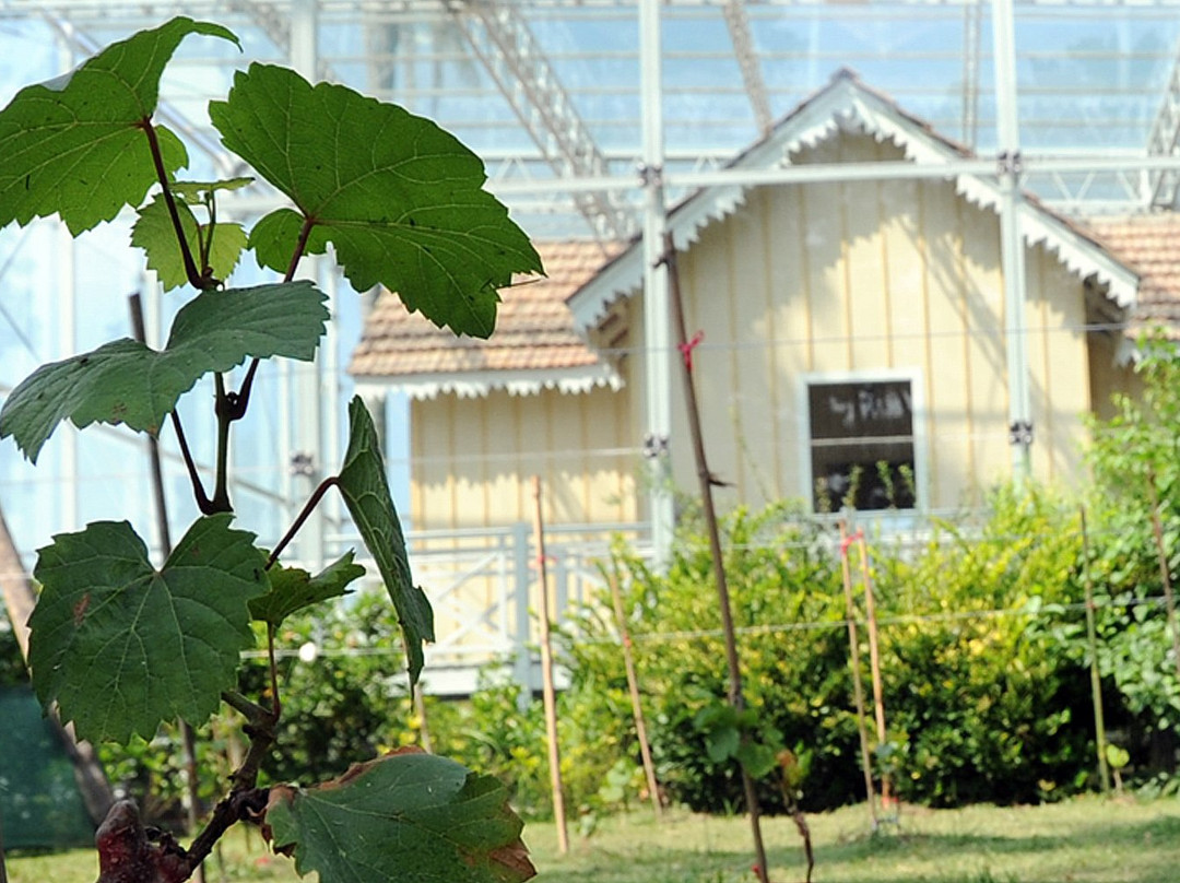 Sarmiento House Museum-蒂格雷必去景点