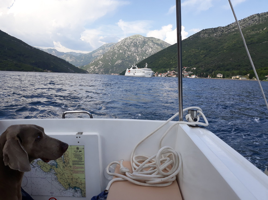 Poseidon - Rent a Boat Montenegro景点图片