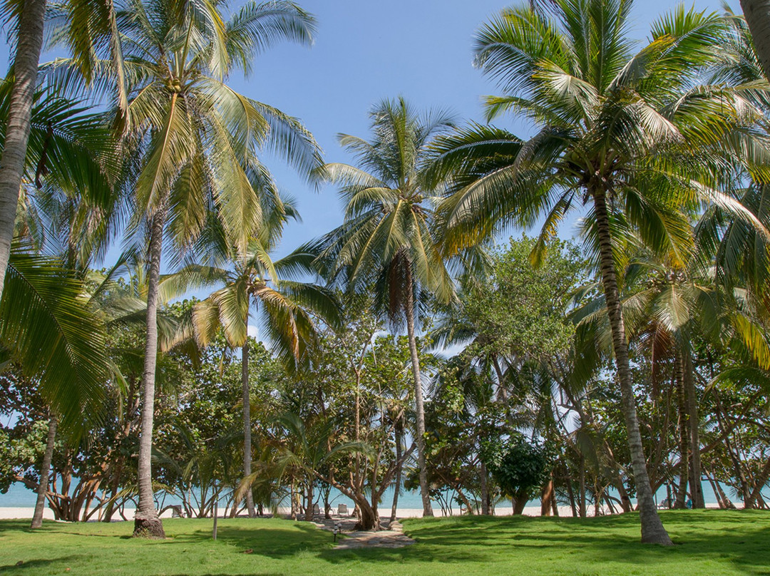 Hotel Casalina