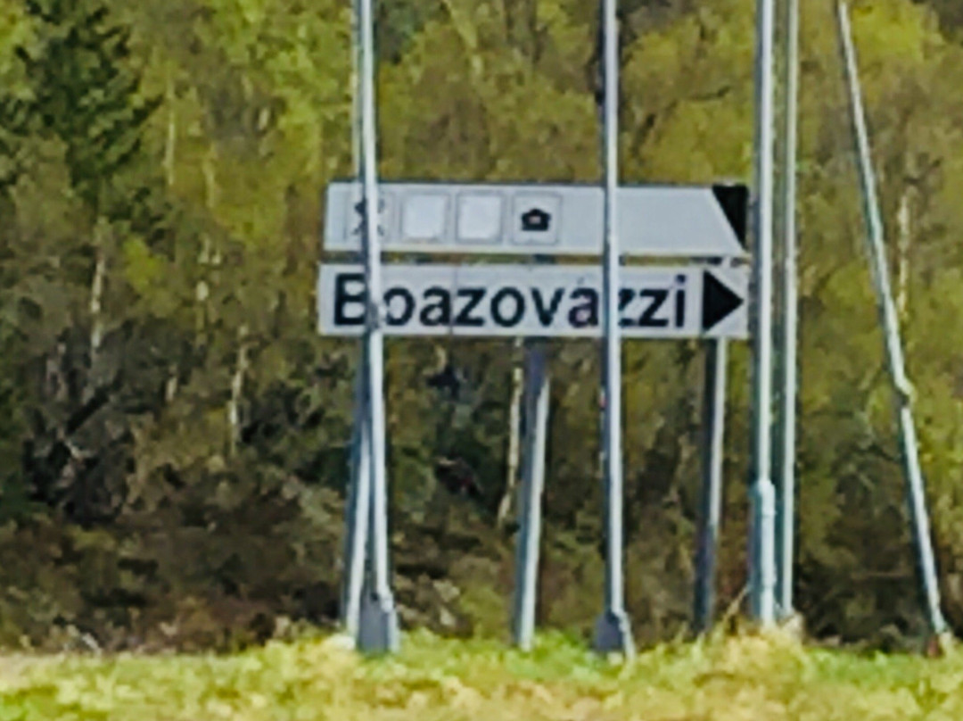 Boazovazzi主图