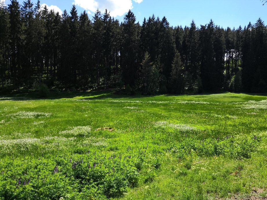 Schluehuewanapark-Grafenhausen必去景点