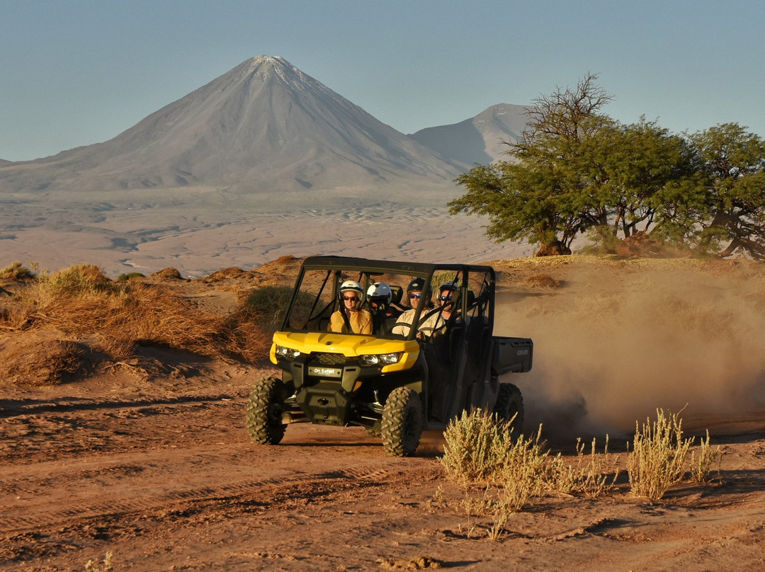 On Safari Atacama景点图片