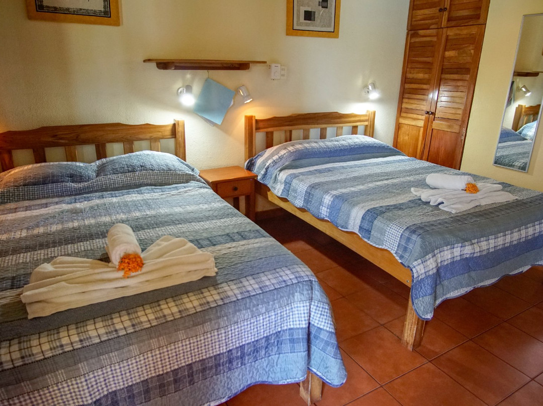 Hotel Isolina Beach主图