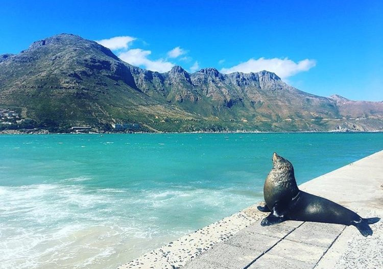 Desert Ace Tours & Charters-斯瓦科普蒙德必去景点