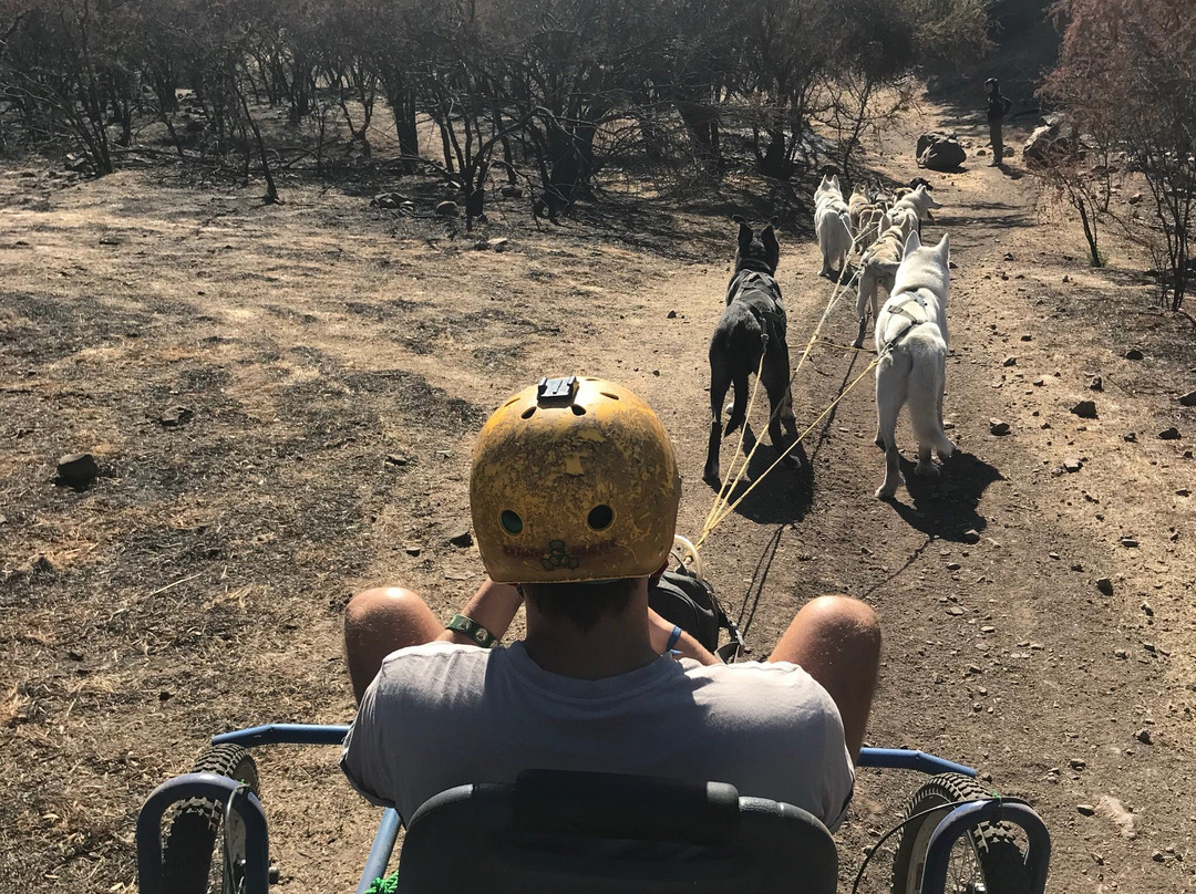 Husky Point-Curacautin必去景点