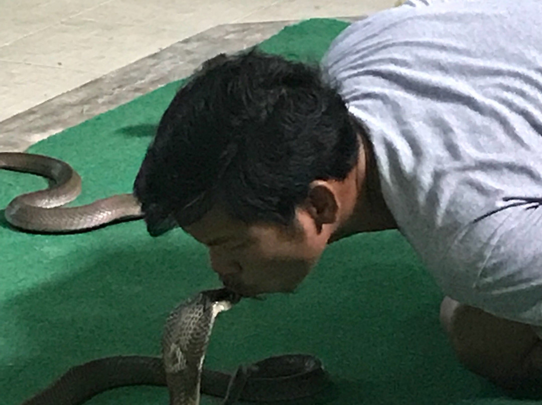 苏梅蛇场-苏梅岛必去景点