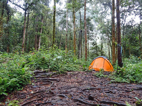 Explore Kerinci-占碑必去景点