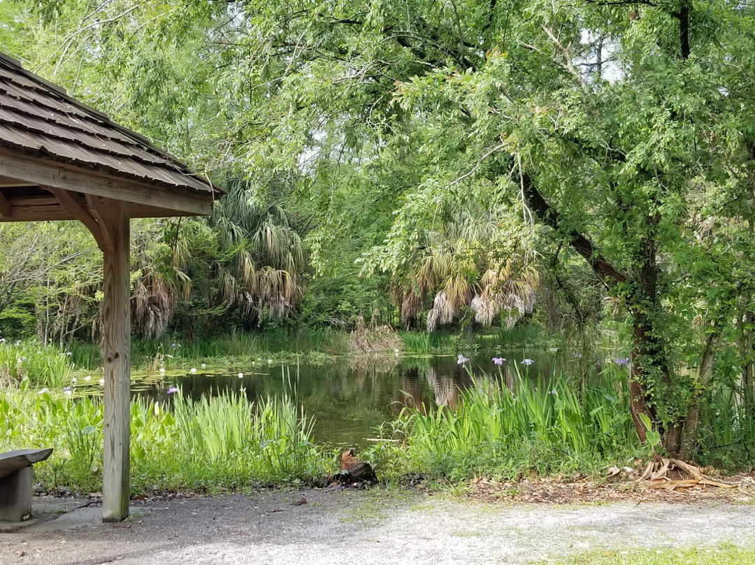 LSU AgCenter Botanic Gardens-巴吞鲁日必去景点
