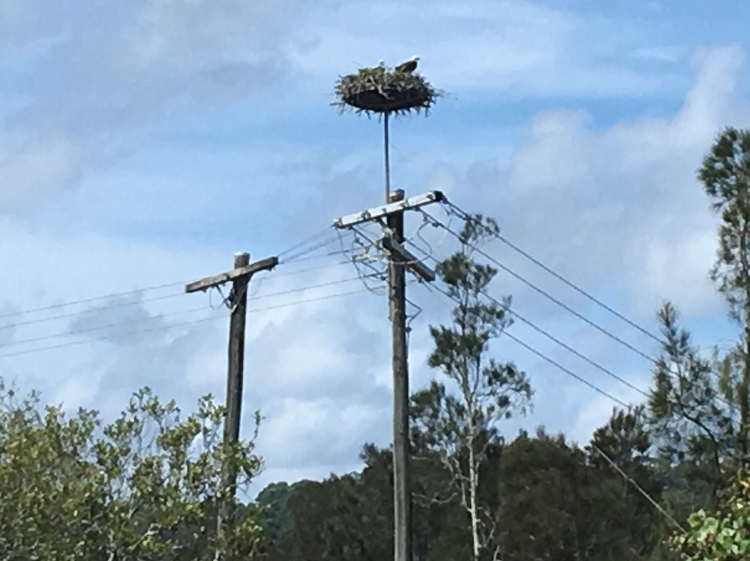 Mount Warning Tours-库伦加塔必去景点