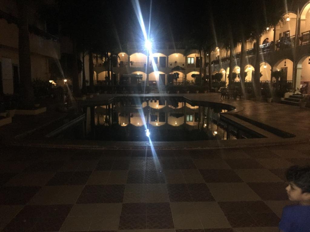 Kumararraja Palace Yelagiri-泳池