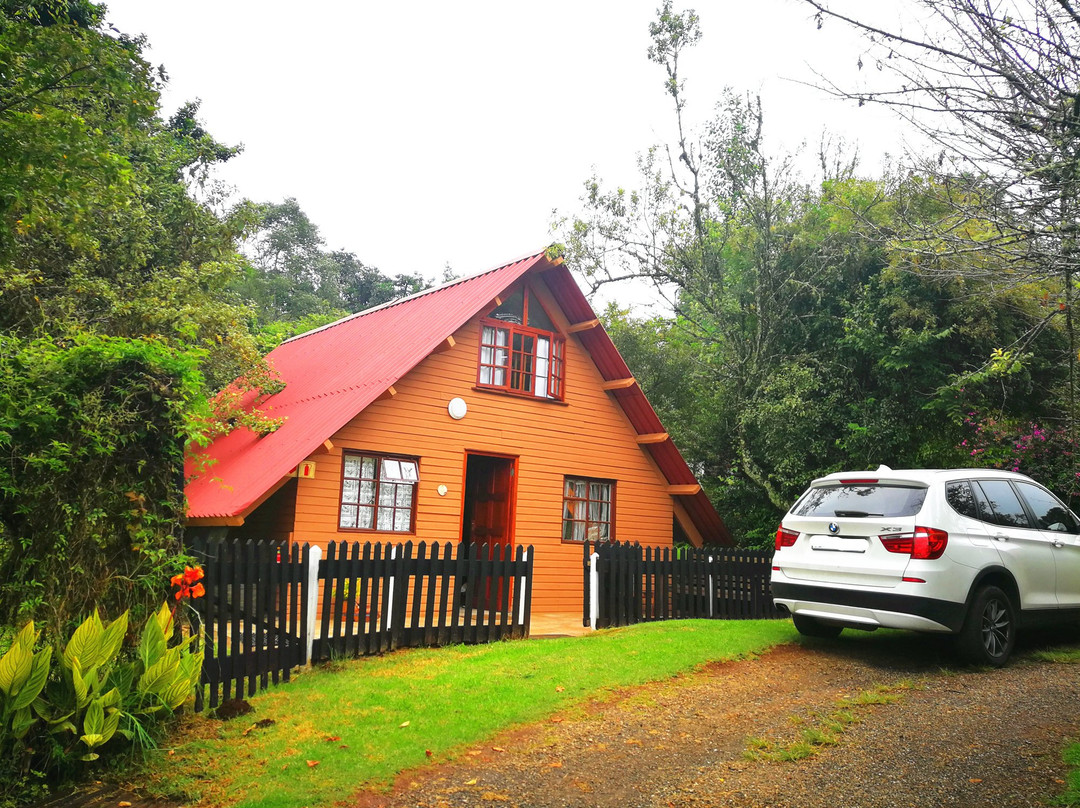 Zur alten Mine主图