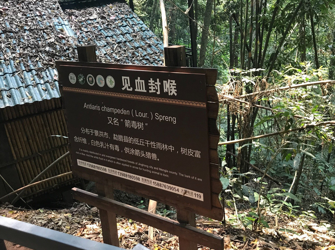 西双版纳雨林谷-景洪市必去景点