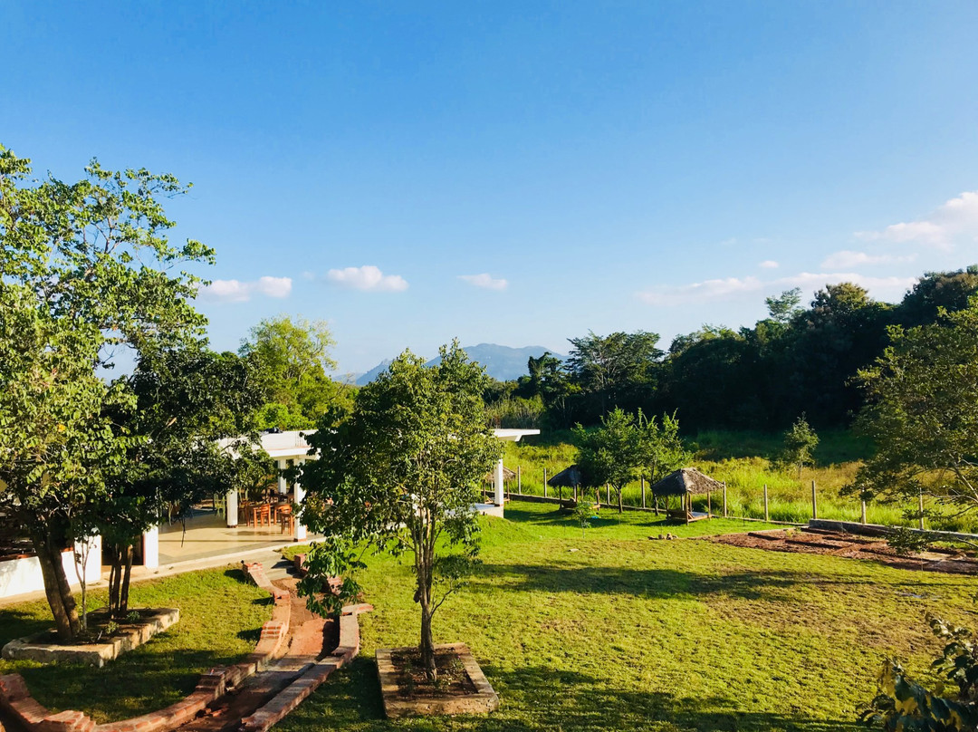 Into The Wild Sigiriya主图