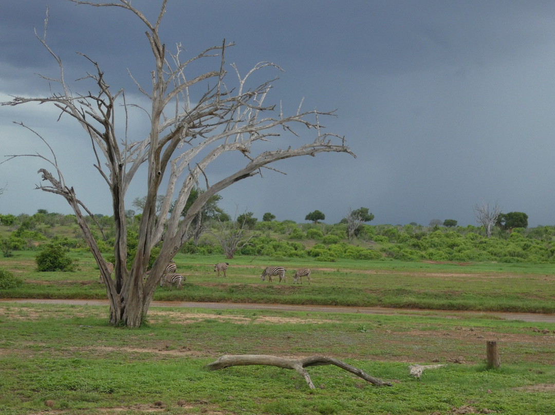 Sentrim Tsavo Lodge主图