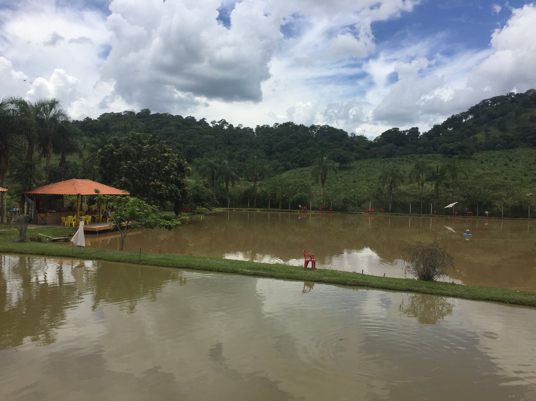 Pesque e Solte do Thomas