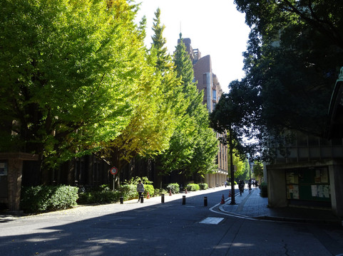 2025年2月东京大学景点攻略-东京大学门票预订|地址|图片-东京大学景点点评-猫途鹰