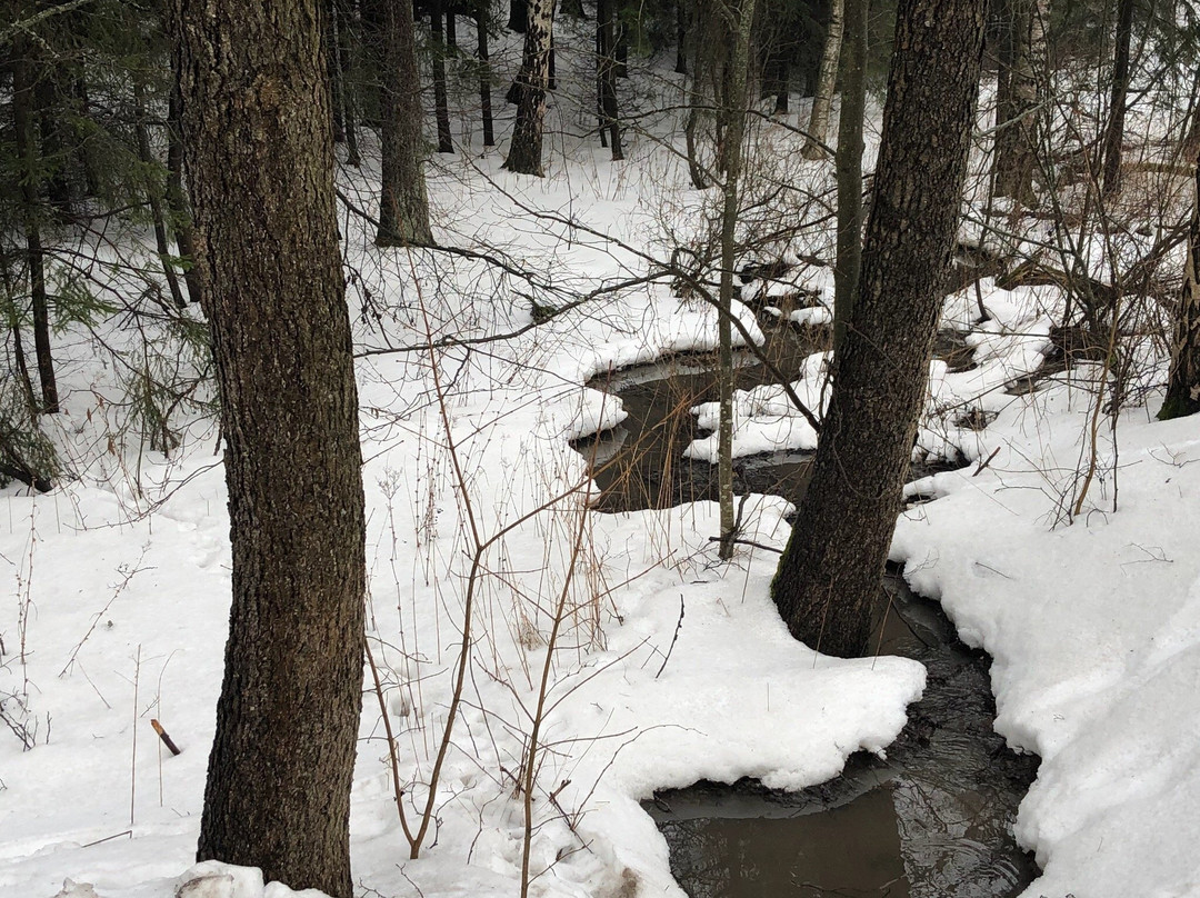 考瑞兰桑拿中心-赫尔辛基必去景点