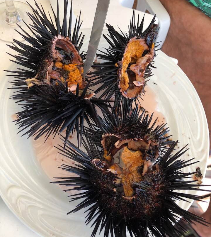 Pousada Green Life主图