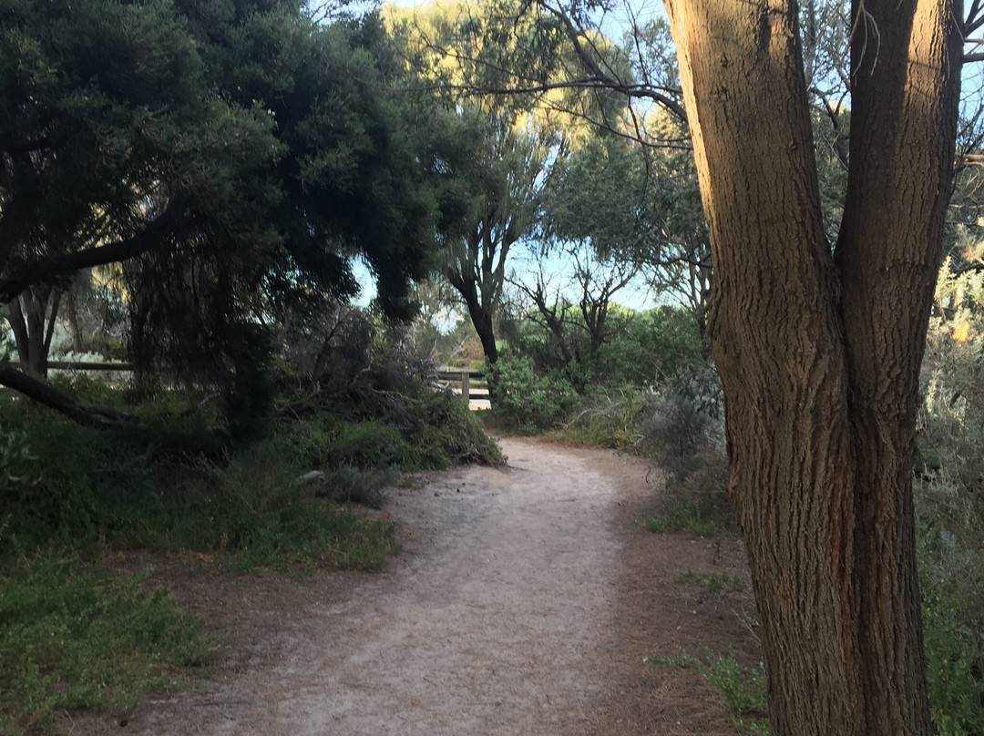 Trey Bit Reserve-Sandringham必去景点