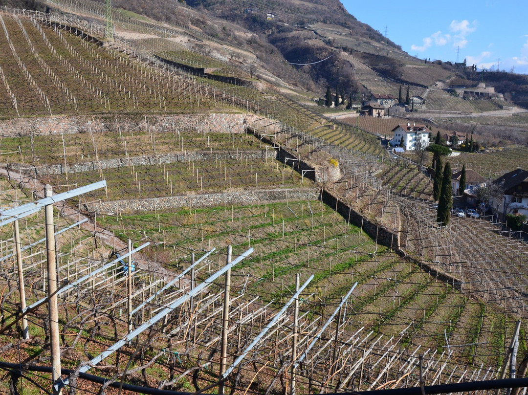 Franz Gojer Glögglhof-博尔扎诺必去景点