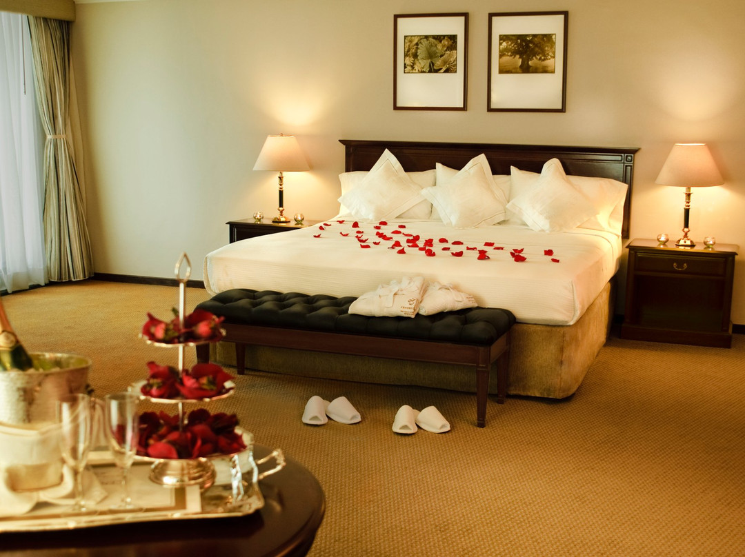 加拉加斯丽都中央酒店主图