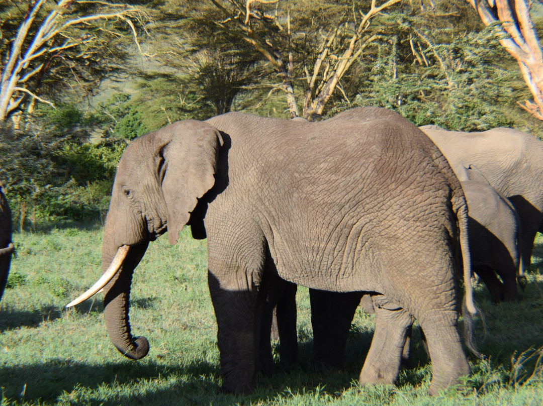 Fortes Africa-姆万扎必去景点