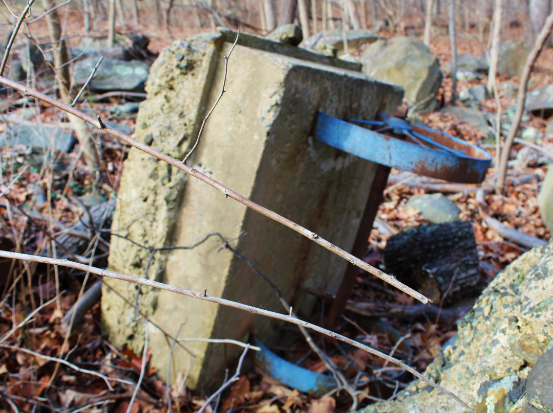 Ringing Rocks Park-Potts Grove必去景点