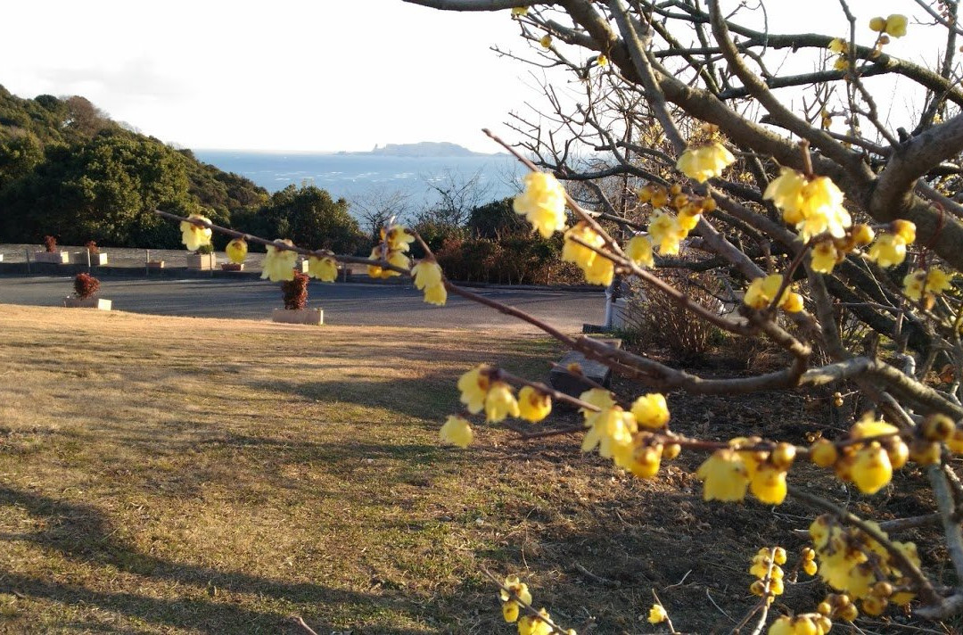 Ume Tree Parks-龙野市必去景点