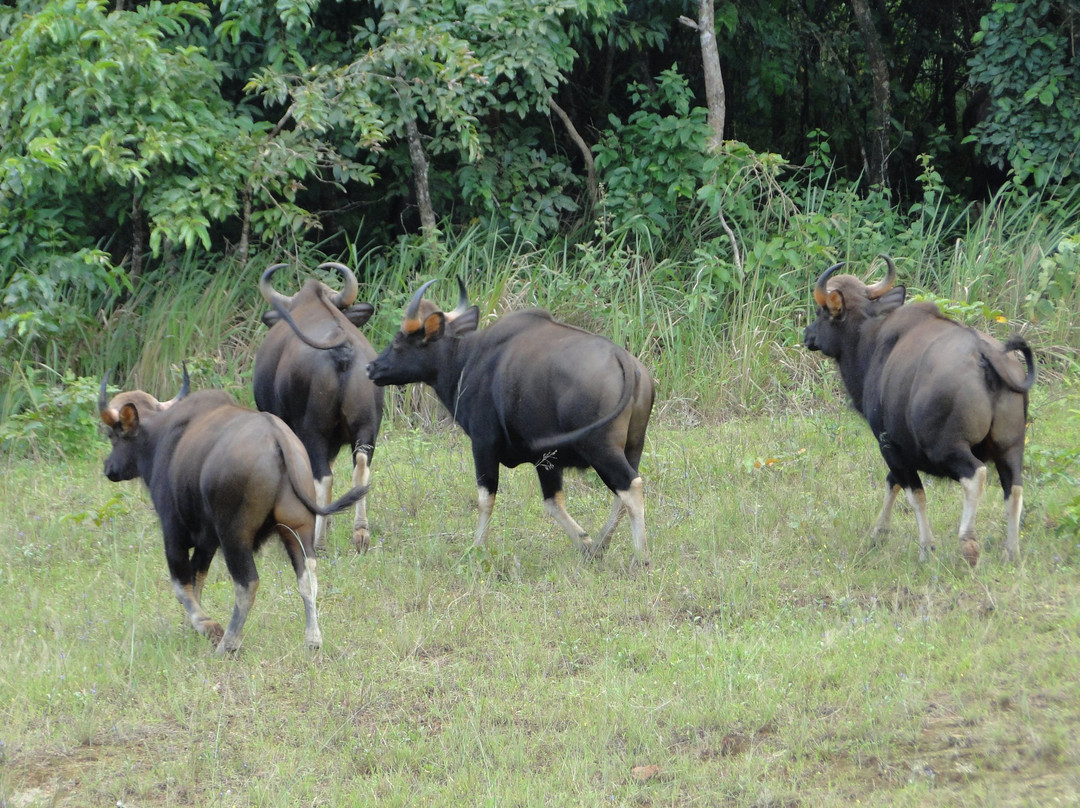 KTDC 阿兰亚尼瓦斯度假村主图