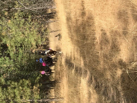 Windover Equestrian-Saint Eugene Mission必去景点