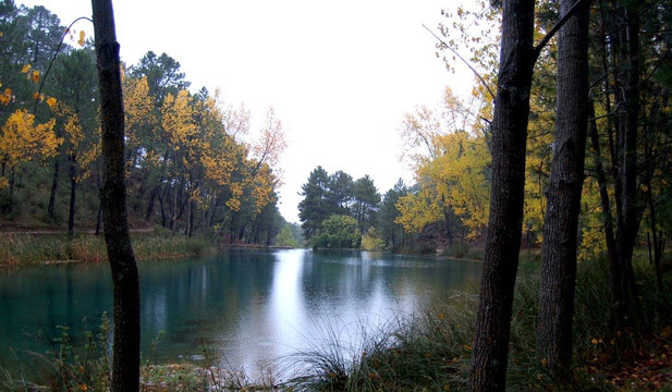 Cotillas旅游攻略图片