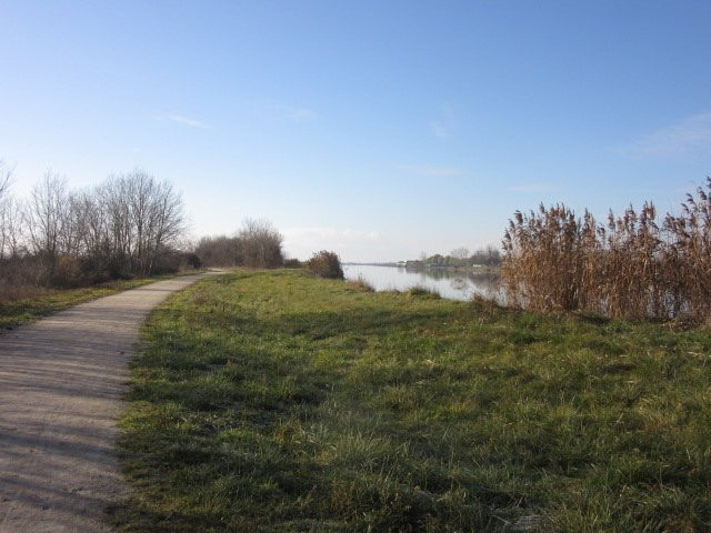 Plan d'Eaux des Guifettes景点图片