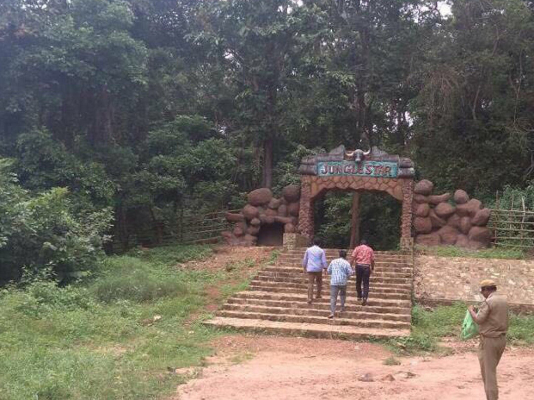 Jungle Star Nature Camp Site