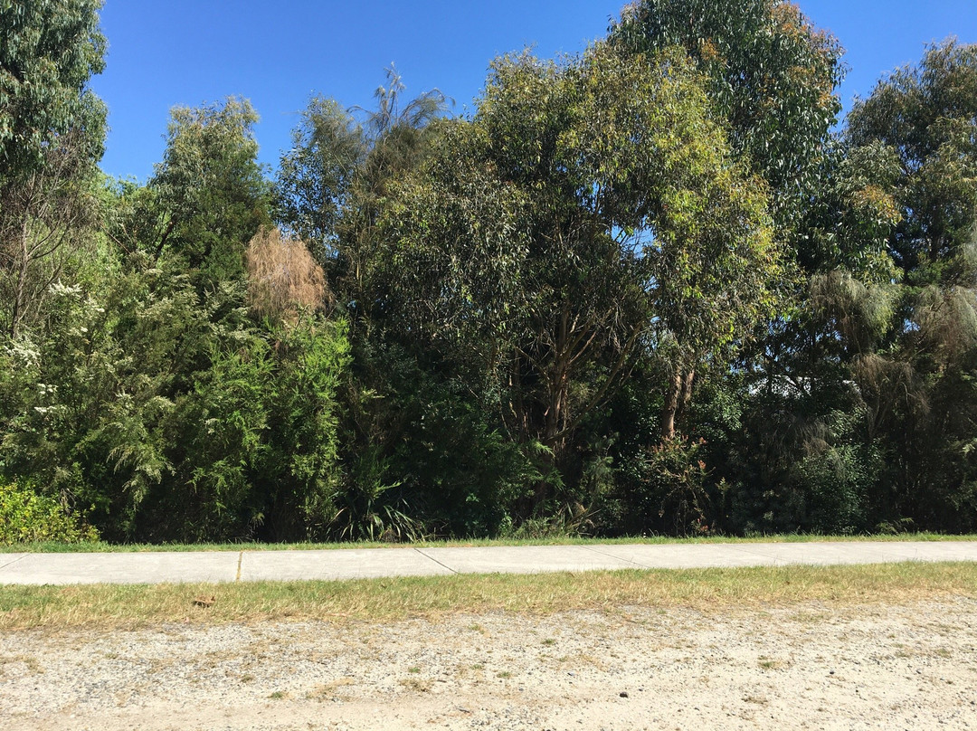 Foster Flora Reserve-福斯特必去景点