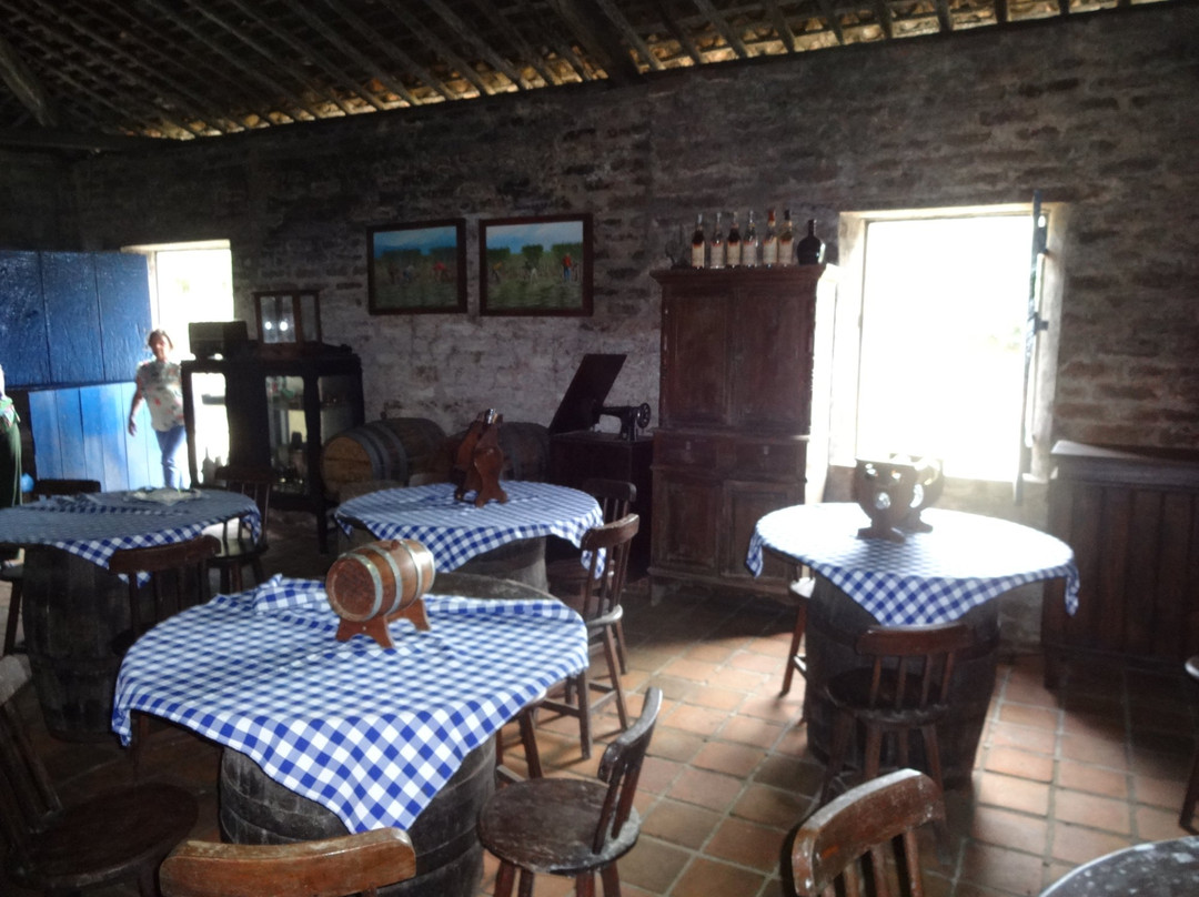 Vicencia旅游景点-Engenho Agua Doce