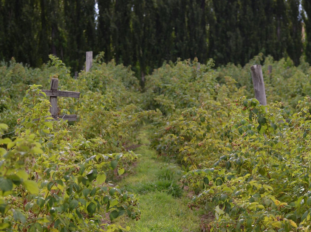 Chacra La Piedad-Plottier必去景点