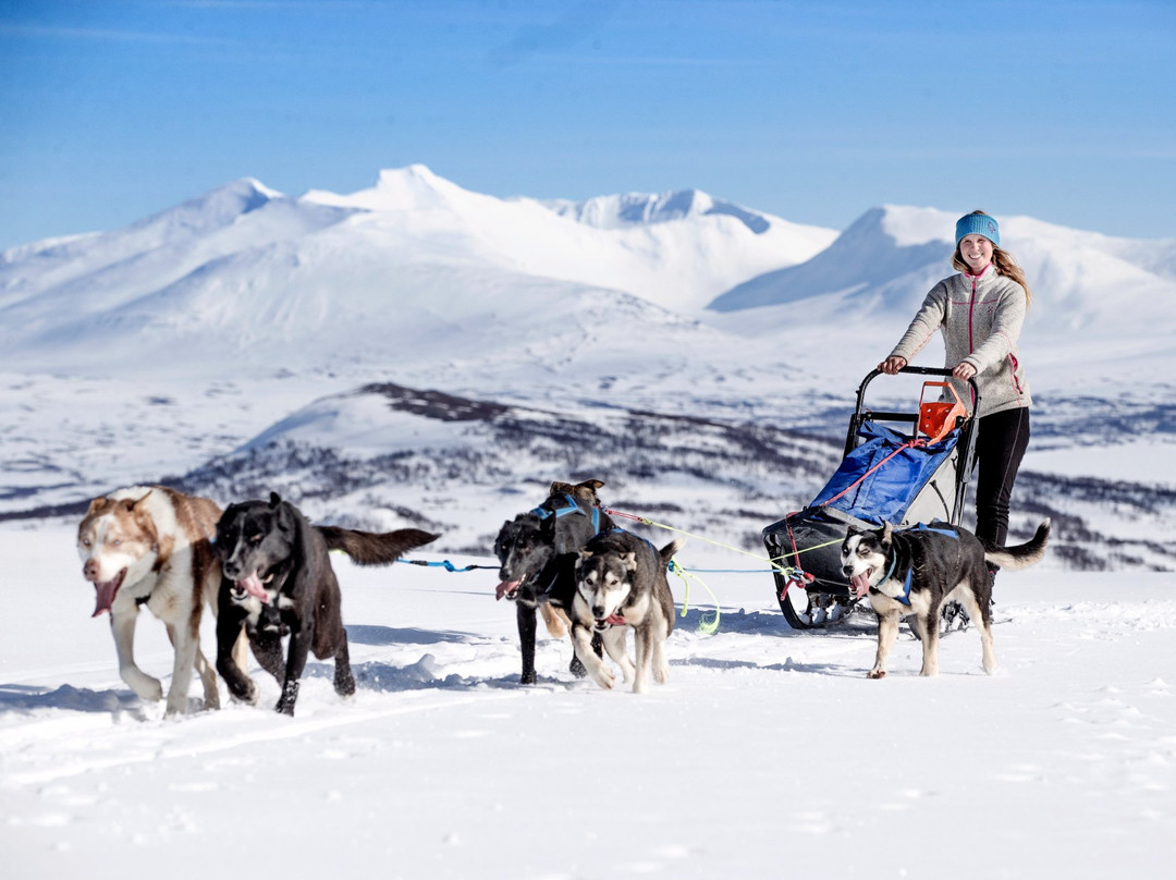 Aspaasen gaard og husky景点图片