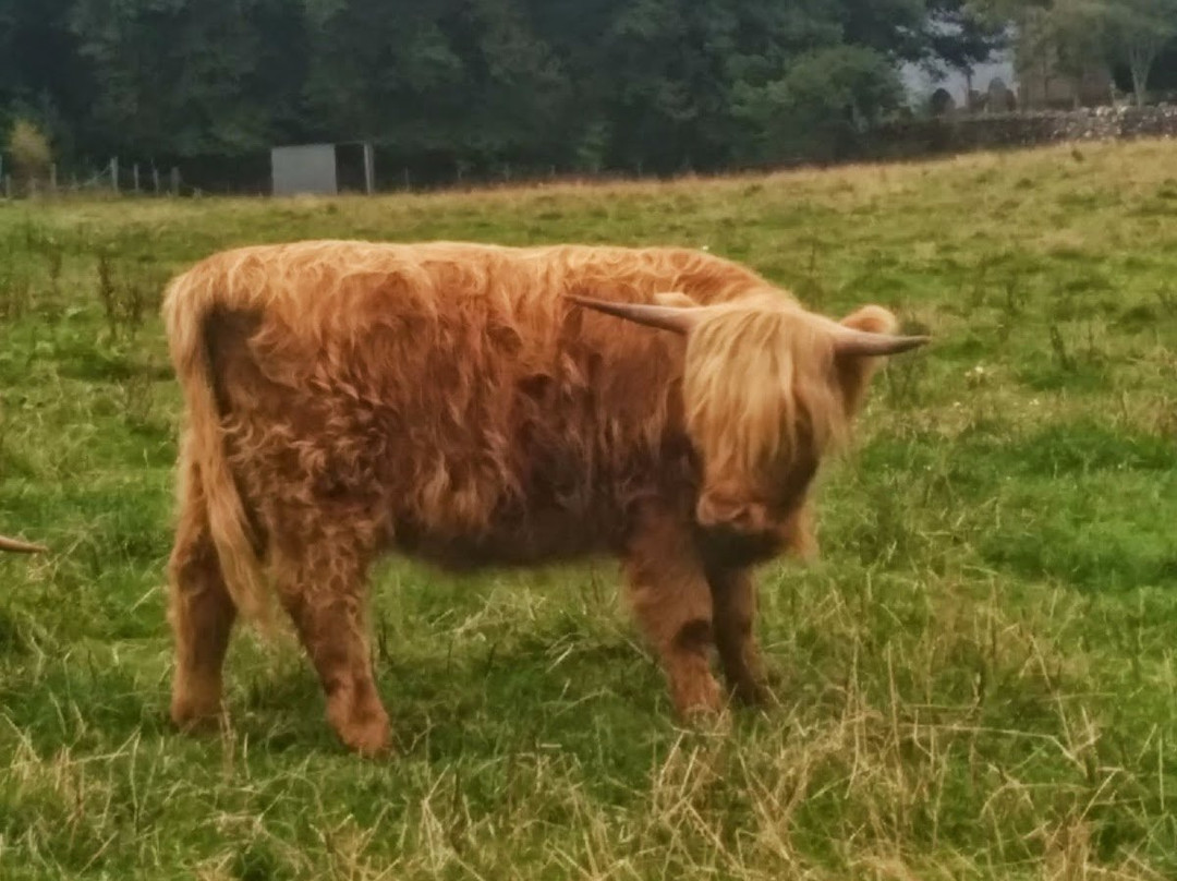 Highland Tours Inverness-因弗内斯必去景点