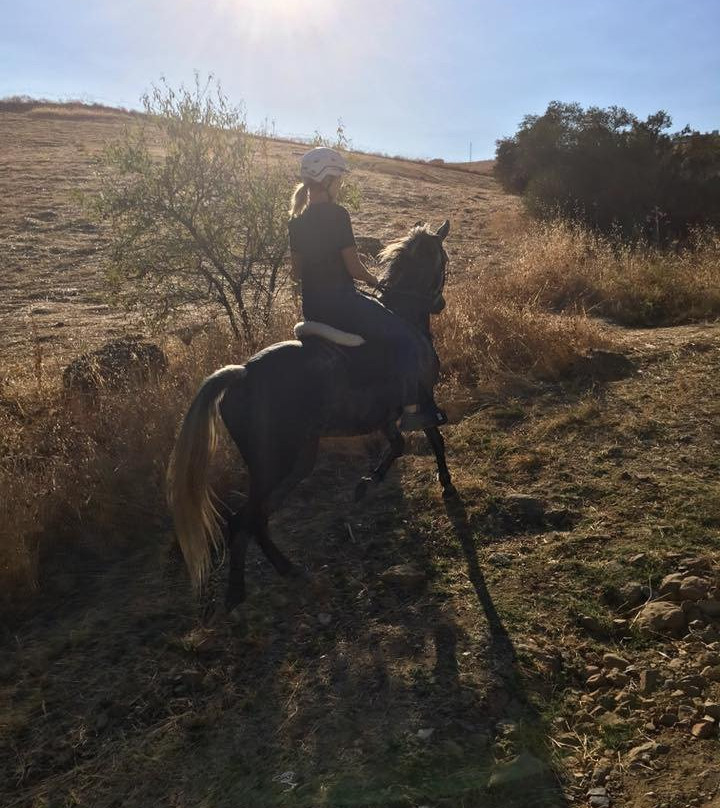 Malaga Horse Trails景点图片