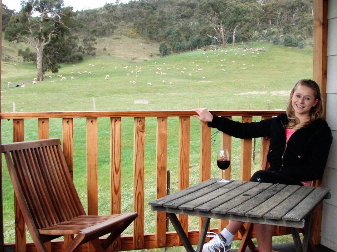 Wimmera Hills Winery-Elmhurst必去景点