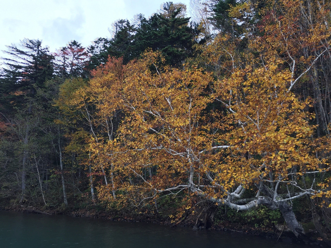 Lake Shikaribetsu Tour Boat-鹿追町必去景点
