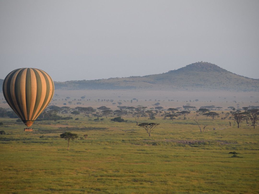 Serengeti Balloon Safaris-塞伦盖蒂国家公园必去景点