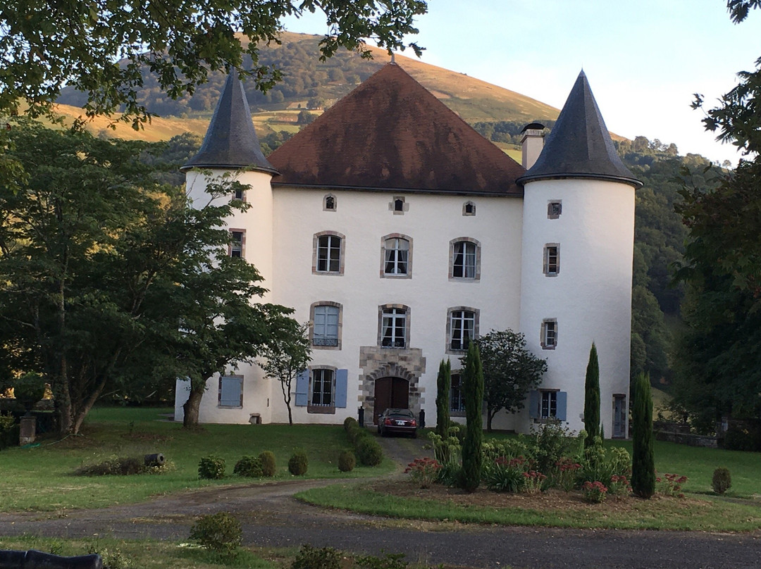 Château d'Etchaux景点图片