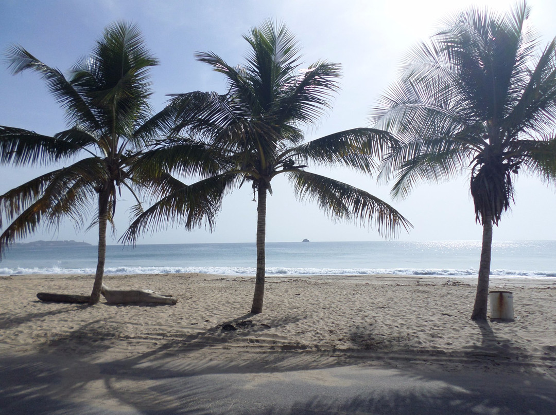 Playa La Caracola景点图片