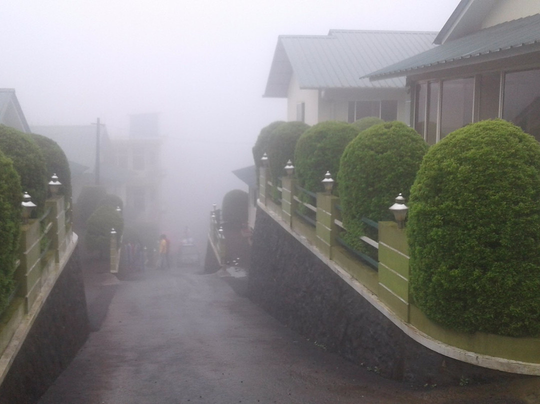 Green Palace Resort主图